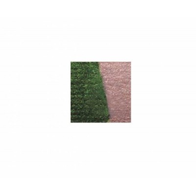 Ombre à paupières rose + vert forêt -...