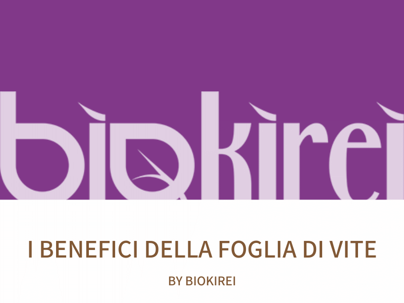 I benefici delle foglie di vite