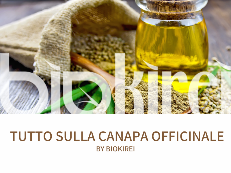 Canapa officinale: un rimedio naturale per pelle e capelli