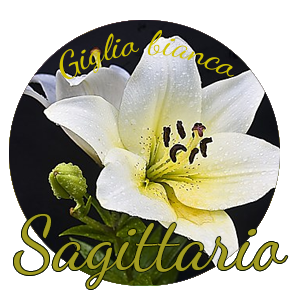 Oroscopo Sagittario LUGLIO 2019